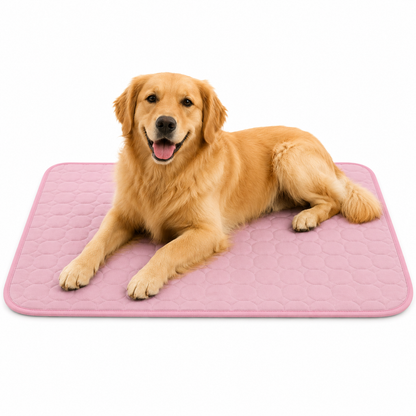 Dog Cool Pet Pad