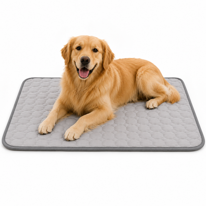 Dog Cool Pet Pad