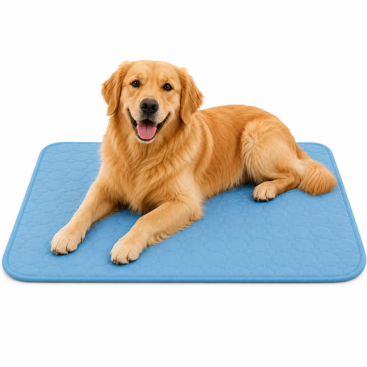 Dog Cool Pet Pad